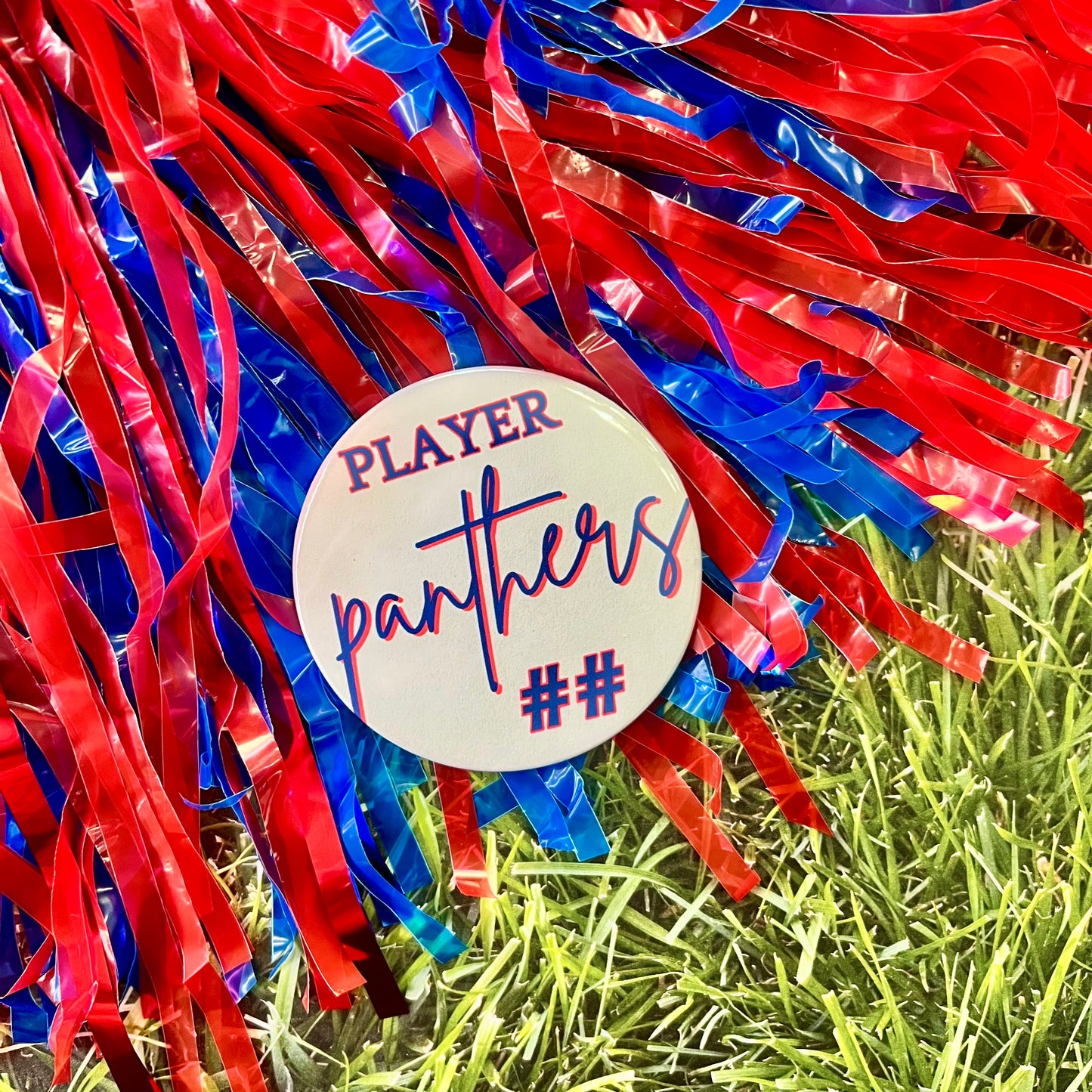 Panthers Script Button