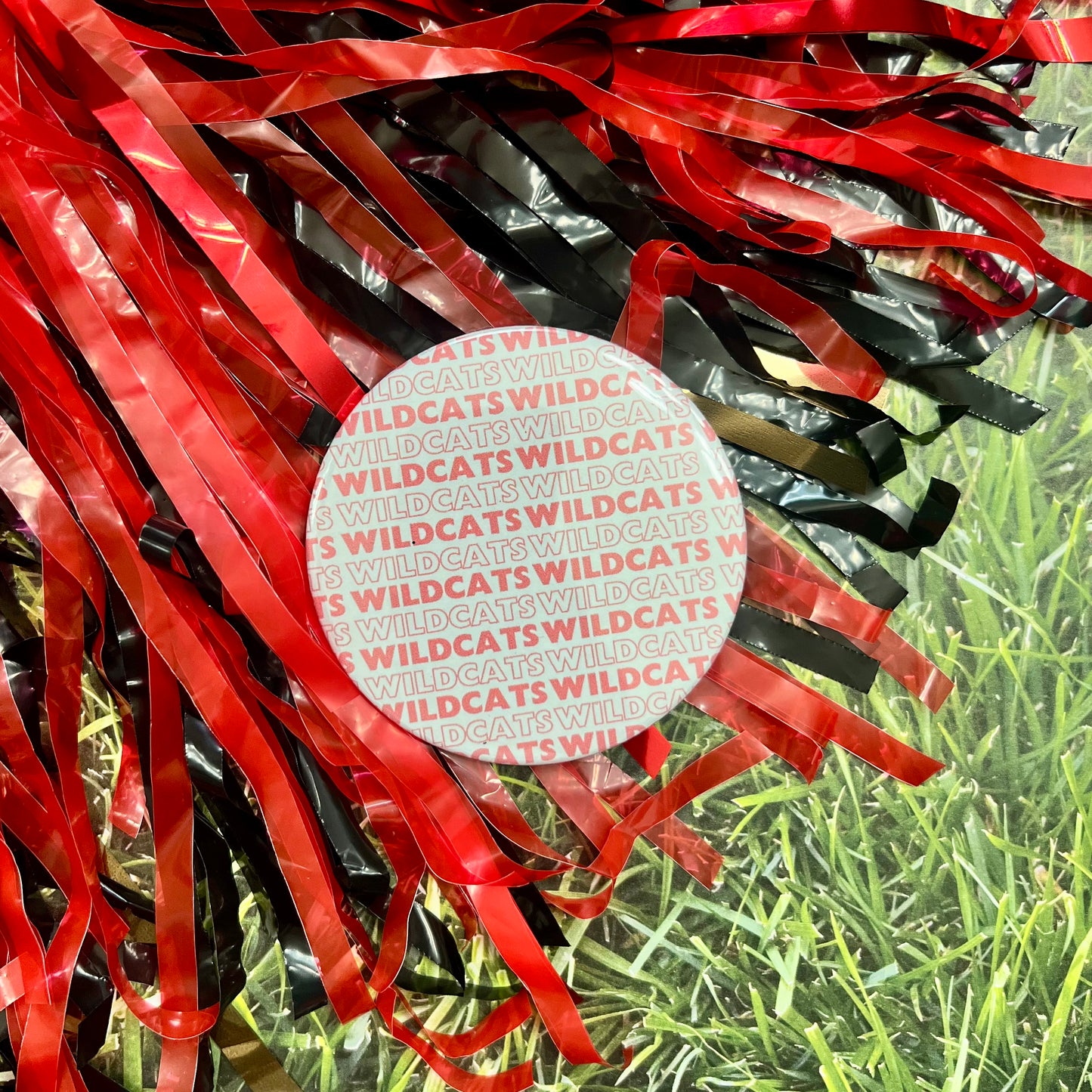 Wildcats Script Button
