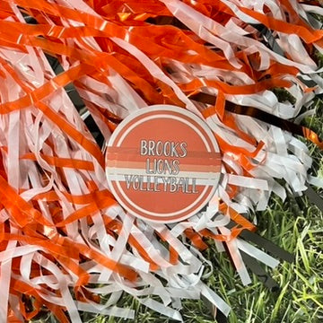Brooks Lions Retro Stripe Button