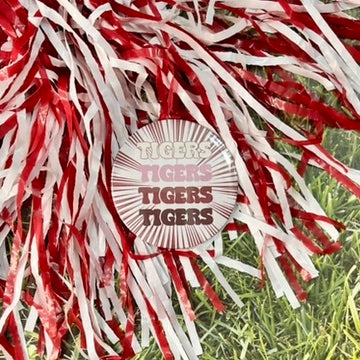 Tigers Multi Starburst Button