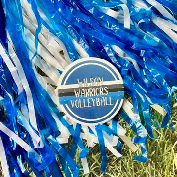Wilson Warriors Retro Stripe Button