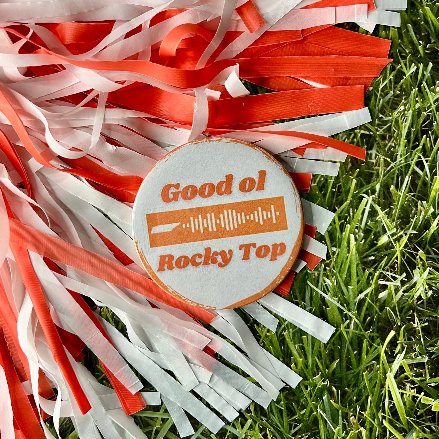 Good Ol Rocky Top Song Button